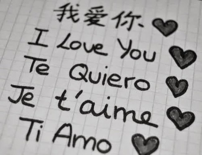 Diferentes Idiomas Misma Plataforma